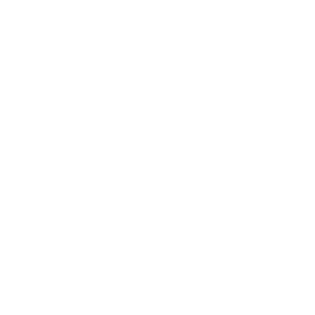 Logotipo oficial HEYDI